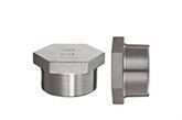 Forged Fitting Plug supplier in india