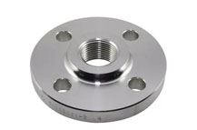 SS Threaded Flanges Supplier in india